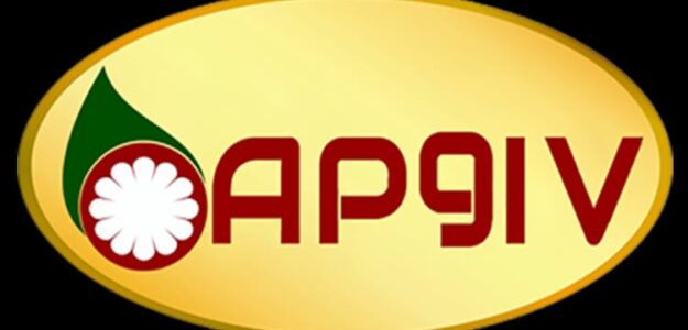 AngoPower Group International Vison