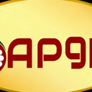 AngoPower Group International Vison