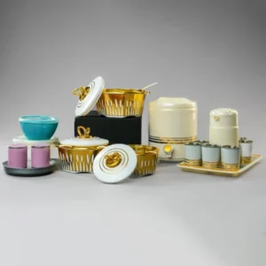 Luxury Rolex 20pcs Picnic Set – Stylish, Durable & Functional!