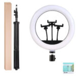 14 Inch Adjustable Color Temperature LED Ring Light Kit with Three Camera Positions