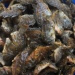 Fried tilapia (Akpa kalami)