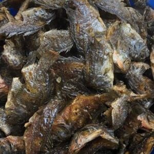 Fried tilapia (Akpa kalami)