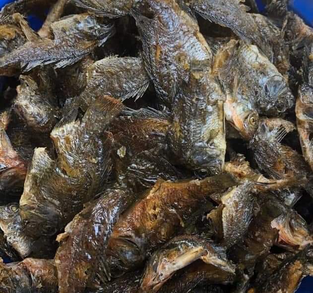 Fried tilapia (Akpa kalami)